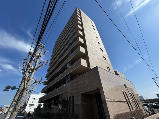 コルディエラ