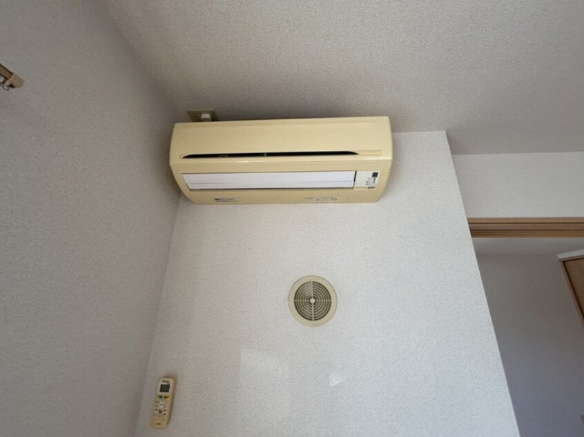  ルミナスコート