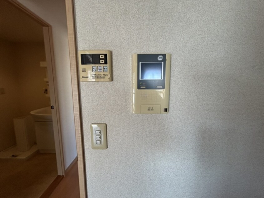  ルミナスコート