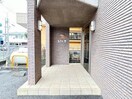  あした葉