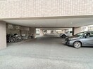  あした葉