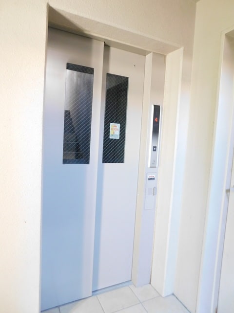  あした葉