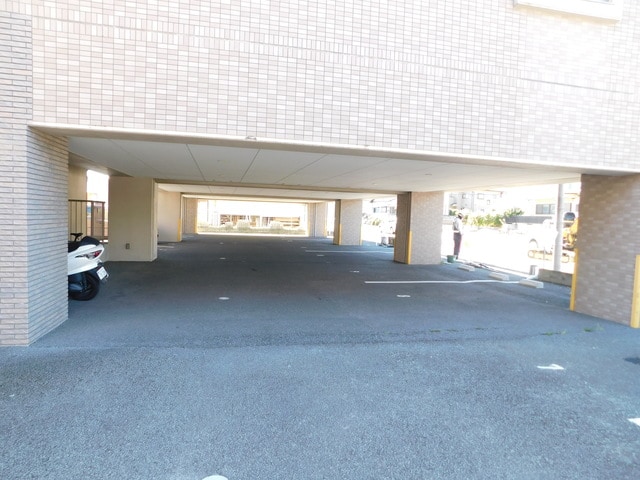  あした葉