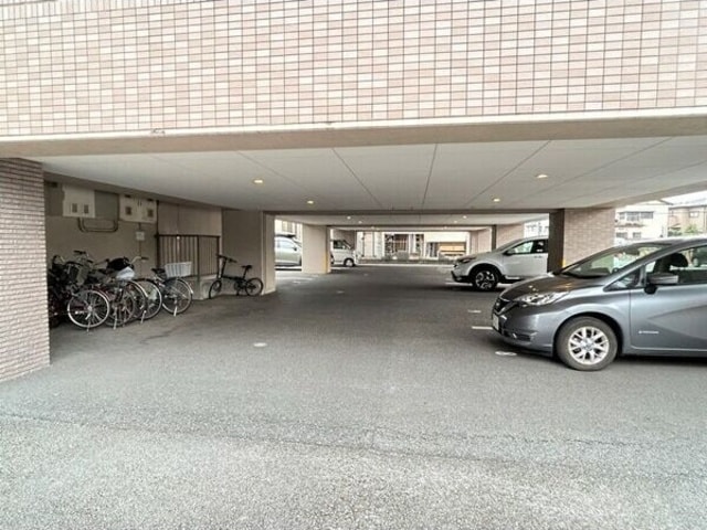  あした葉