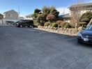  ＳＵＮひあり