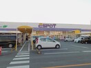 ESPOT函南店(スーパー)まで622m※ESPOT函南店 伊豆箱根鉄道駿豆線/伊豆仁田駅 徒歩8分 3階 築5年