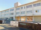 清水町立南小学校(小学校)まで1073m※清水町立南小学校 東海道本線/沼津駅 バス23分下徳倉下車:停歩5分 2階 築32年