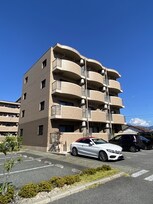 フィールドコート　ステラ