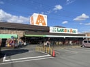 ラコ・アンド・エース伊豆長岡店(スーパー)まで1075m※ラコ・アンド・エース伊豆長岡店 ヒルズ　スワンＢ