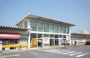  伊豆箱根鉄道駿豆線/伊豆長岡駅 徒歩11分 1階 築10年