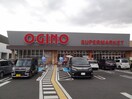 オギノ御殿場富士岡店(スーパー)まで865m※オギノ御殿場富士岡店 ロイヤルカサブランカ