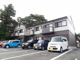 サンフラワー
