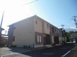 コリーヌ　Ｍ