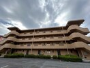  東海道本線/富士駅 徒歩19分 3階 築29年