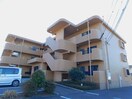  岳南電車/吉原本町駅 徒歩41分 1階 築20年