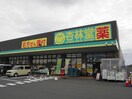 杏林堂ドラッグストア富士厚原店(ドラッグストア)まで286m※杏林堂ドラッグストア富士厚原店 身延線/入山瀬駅 徒歩23分 3階 築35年
