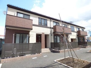 エルドラード　チャチャ　N