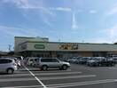 ｺｰﾌﾟうしく店(スーパー)まで1029m マルシェ牛久