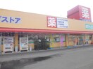 ｳｴﾙｼｱ牛久神谷店(ドラッグストア)まで809m マルシェ牛久