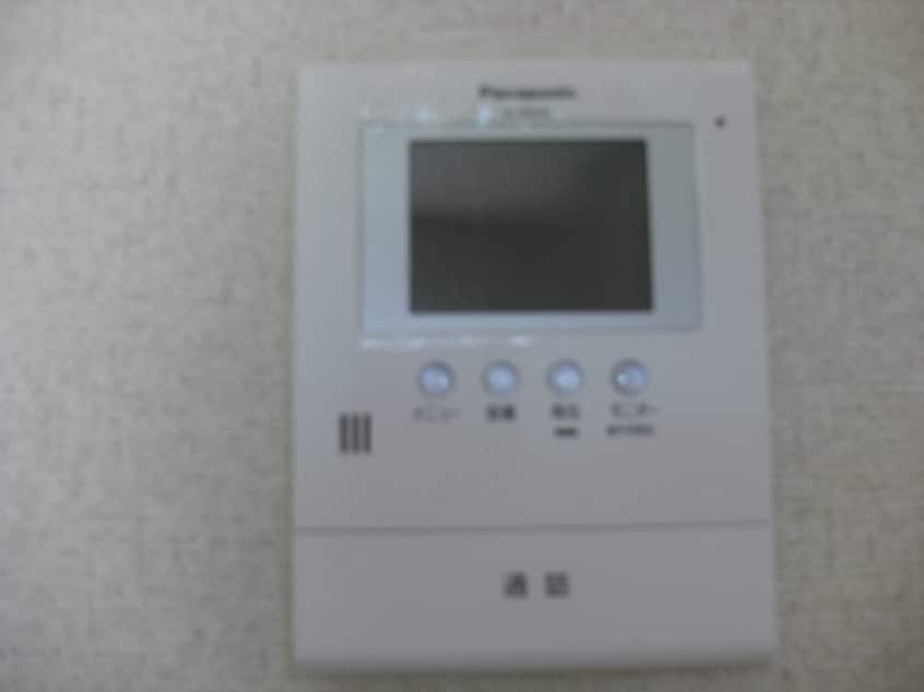  グリーンハート