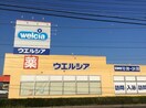 ｳｴﾙｼｱ牛久上柏田店(ドラッグストア)まで474m コーポタニ