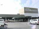 ﾛｲﾔﾙﾎーﾑｾﾝﾀー 牛久店(電気量販店/ホームセンター)まで1827m テラスハーミットA