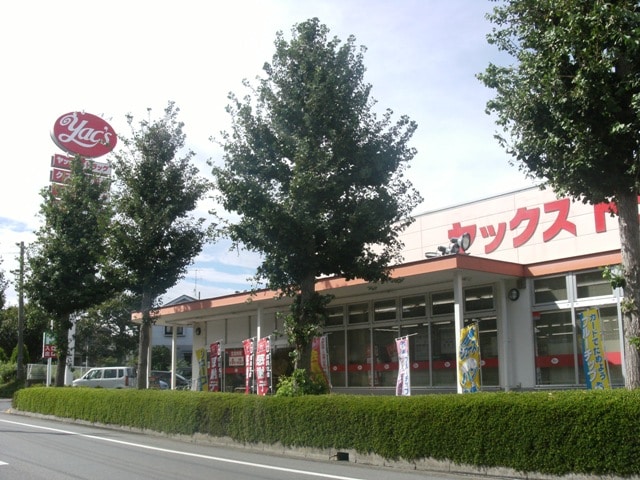 ﾔｯｸｽﾄﾞﾗｯｸﾞ牛久神谷店(ドラッグストア)まで1082m ルネス牛久