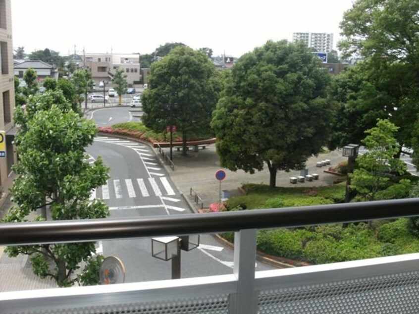  ベルヴェデーレ