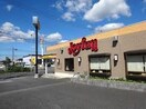 ｼﾞｮｲﾌﾙ 牛久店(その他飲食（ファミレスなど）)まで318m ユートピア