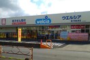 ｳｴﾙｼｱ龍ｹ崎佐貫店(ドラッグストア)まで391m ラ　リュミエール