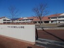 ひたち野うしく小学校まで450m グランディールII