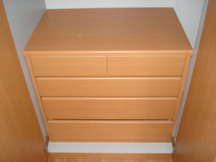 収納内タンス Prendre Sophia（プランドールソフィア）