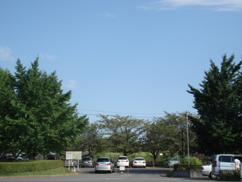 乙戸沼公園まで300ｍ Prendre Sophia（プランドールソフィア）