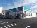 セイムスまで700m ハーヴェストヒルＡ