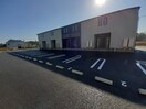  エムズ　サニーガーデンXXIV