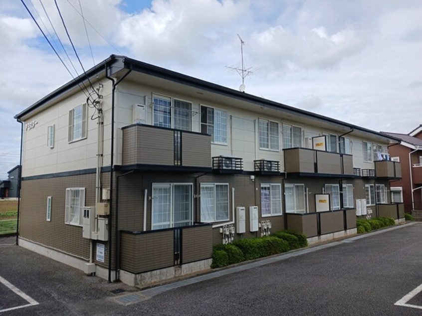  アミスター