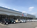 カワチまで900m ボンヌシャンス　Ｍ３