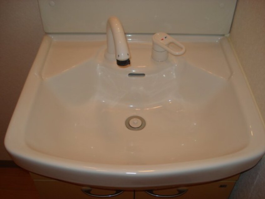 洗面 フラワーハイツ龍ヶ崎