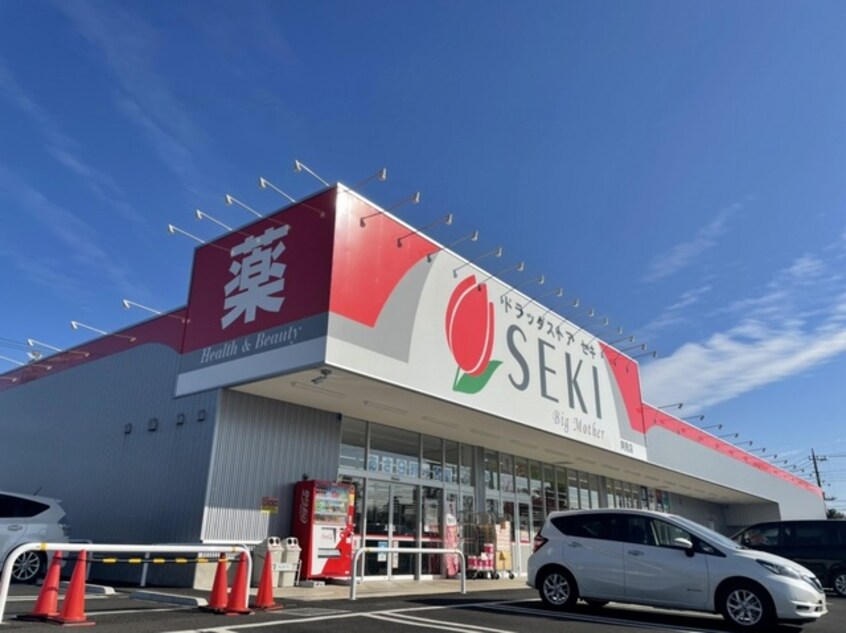 ドラッグストアセキ阿見店まで1750m ラーベ