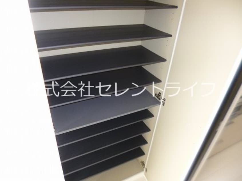トールシューズボックス内部 KI・ZU・NA　絆
