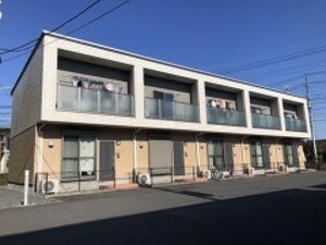 フェニックス　正