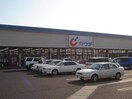 カワチ薬品石岡北店まで1，637ｍ Pollux（ポルックス）