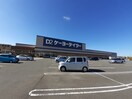 ケーヨーデイツー 千代田SC店まで1050m サン・マーレンVI