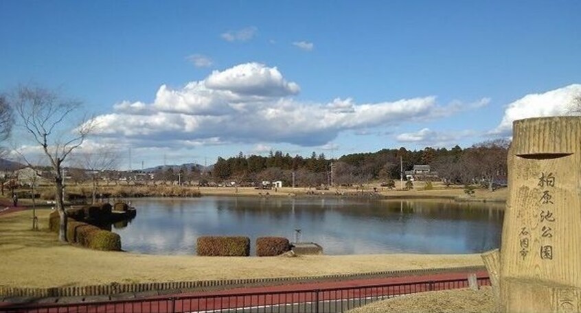 柏原池公園まで1200m ブロッサム松山　Ｎ館