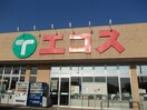 エコス 荒川沖店まで1250m アルドール