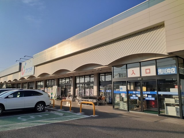 カワチ薬品 荒川沖店まで350m アルドール