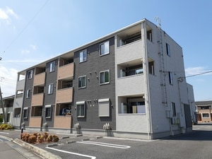 サンムーン　ゴールドスター　１