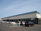 カワチ薬品石岡店まで1，343ｍ Peaceful forest（ピースフル　フォレスト）