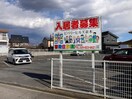  ビバリーヒルズ並木