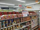 ｾﾌﾞﾝｲﾚﾌﾞﾝ 土浦田中2丁目店(コンビニ)まで2590m サン　フォレスタ